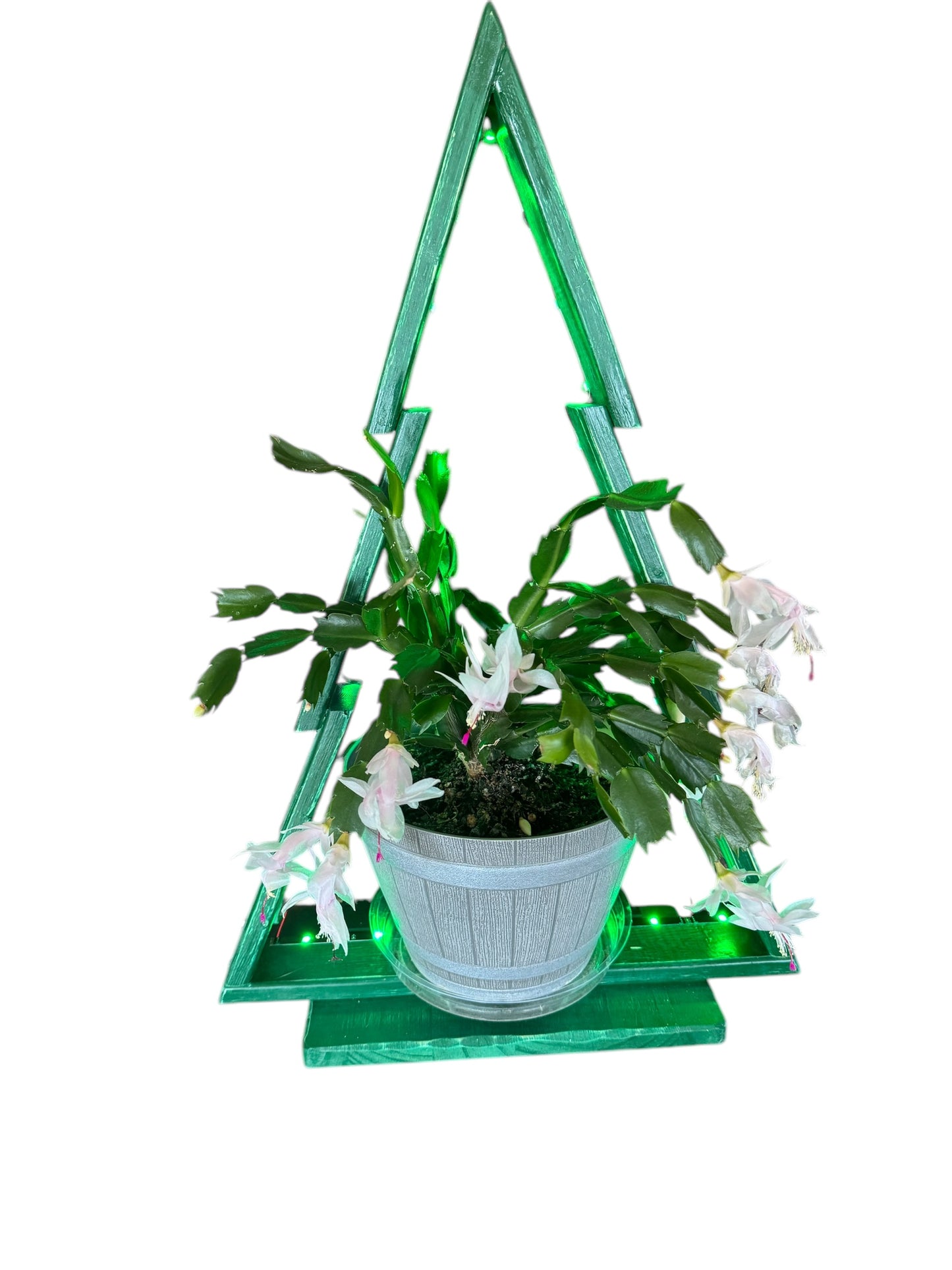 Christmas Tree Plant Stand