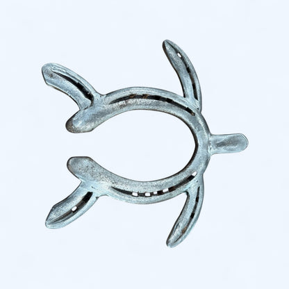 Horseshoe Turtle